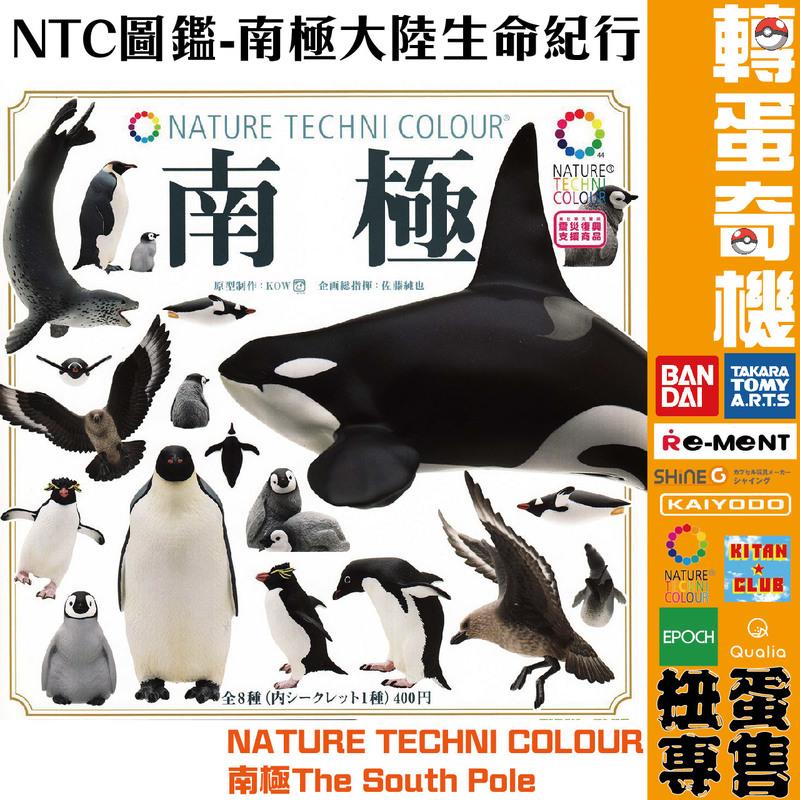 【轉蛋奇機】 NTC圖鑑-南極大陸生命紀行 大全套 隱藏版 小全套 企鵝4款