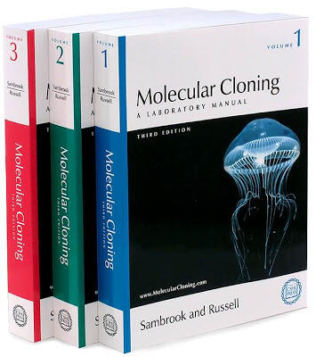 分子克隆實驗指南Molecular Cloning: A Laboratory Manual [下標前請先