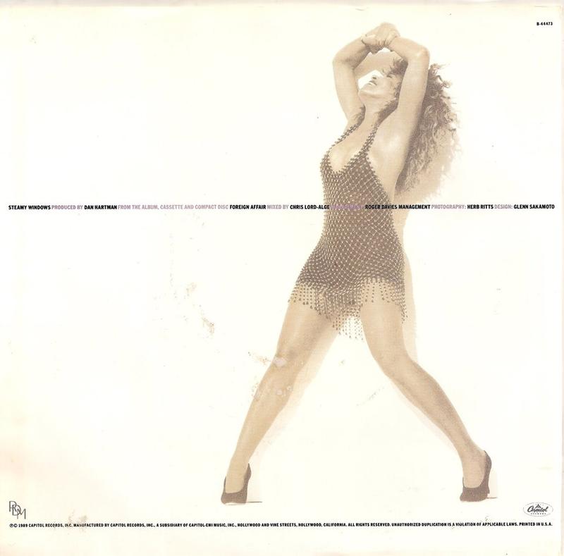 Steamy Windows/The Best (Edit)-Tina Turner (7"單曲黑膠唱片)