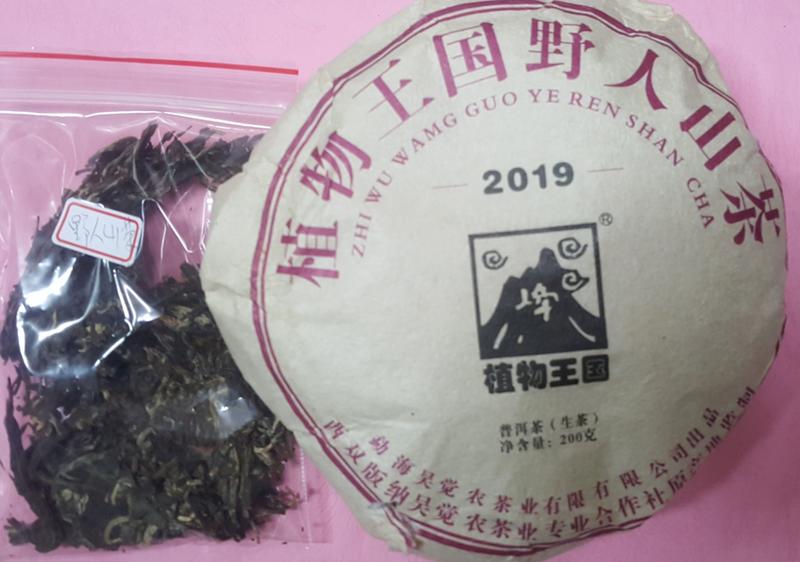 [震宇普洱茶] 樣茶 (30g/份) 吳覺農茶葉公司 2019 野人山茶 生普