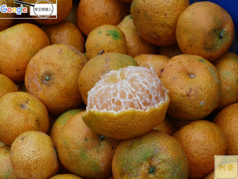 竹山特產嚴選「砂糖橘」A級每箱約3.5斤，"先詢問再下單"11月底採收，愈小棵愈好吃，香澄飽滿，果香味甜，沙糖橘砂糖桔。