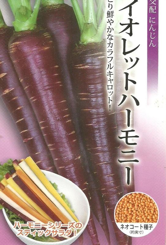 【日進種子家園】彩色胡蘿蔔(紫)