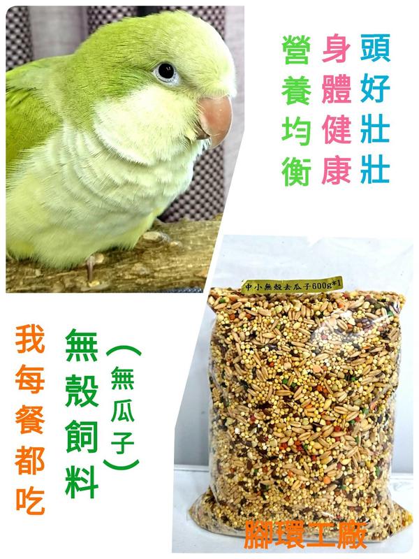 無殼中小型鸚鵡飼料 (600公克分裝包)-LX-(不含瓜子)~嚴選❤ 新鮮天然穀物-適合中小型鳥食用
