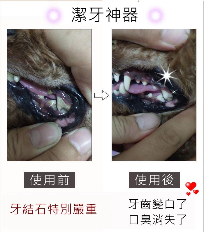 【免運】 寵物牙垢清潔工具 牙結石清除棒 寵物牙結石棒 牙垢棒  寵物潔牙器 寵物刮牙器
