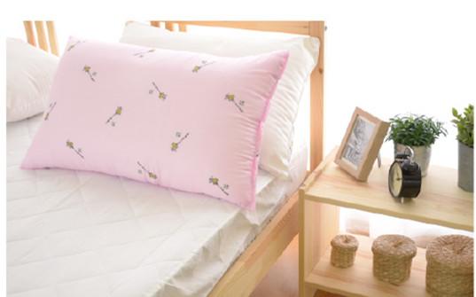 枕頭 防蹣抗菌健康枕   (MIT 100%台灣製 )  民宿 學生住宿 適用 2個特價$300