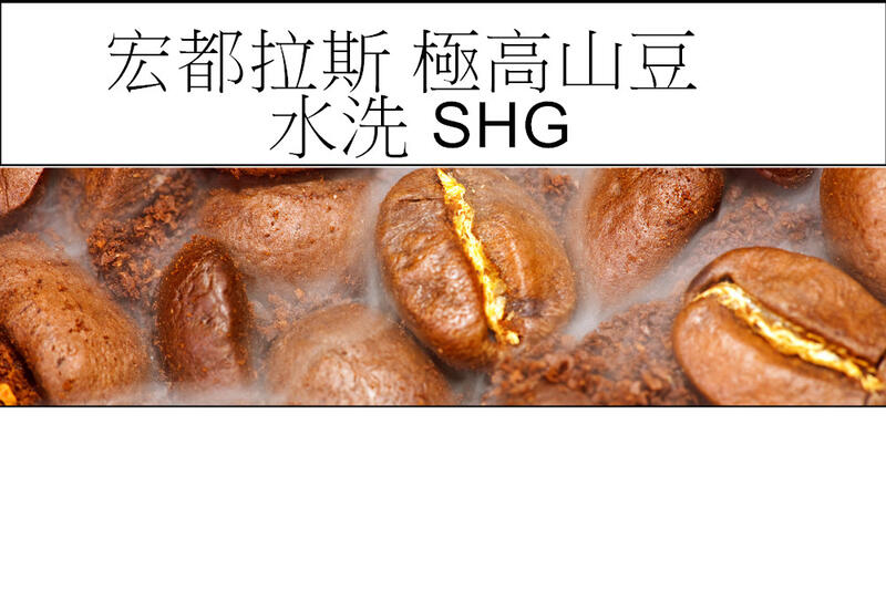 (現烘咖啡豆)宏都拉斯 極高山豆SHG/尼加拉瓜/200G/400G /接單烘焙