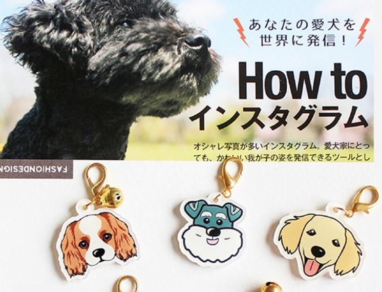 【日本巧鋪】客製化 專屬寵物訂製 貓狗寵物防走失項圈/吊飾/鑰匙圈/可印製電話訊息 生日禮物 寵物相圈 寵物用品