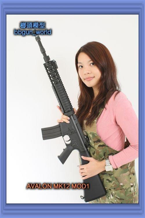 HMM VFC 北區銷售改裝中心 生存遊戲  AVALON MK12 MOD1 電動槍$14500*10-028