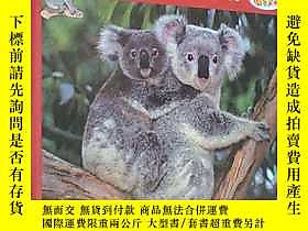 古文物Koala,罕見champion descalade (le) (Fran ais)精裝法語原版書露天18233 