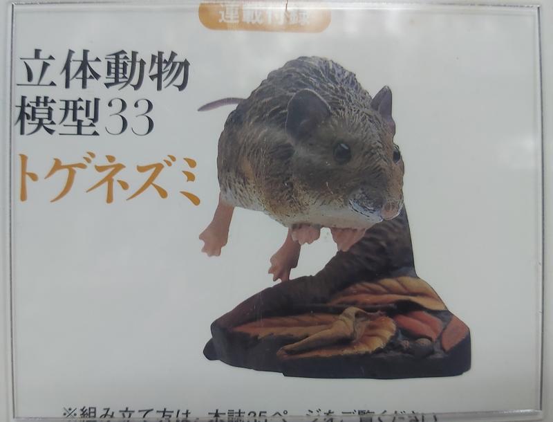 日本天然紀念物 - 圖鑑33 - 小老鼠