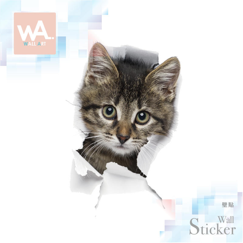 WA 現貨 無痕設計壁貼 3D貓咪可愛貼紙 兒童房遊戲室裝飾 DIY創意布置 室內設計 灰色虎斑貓 2008