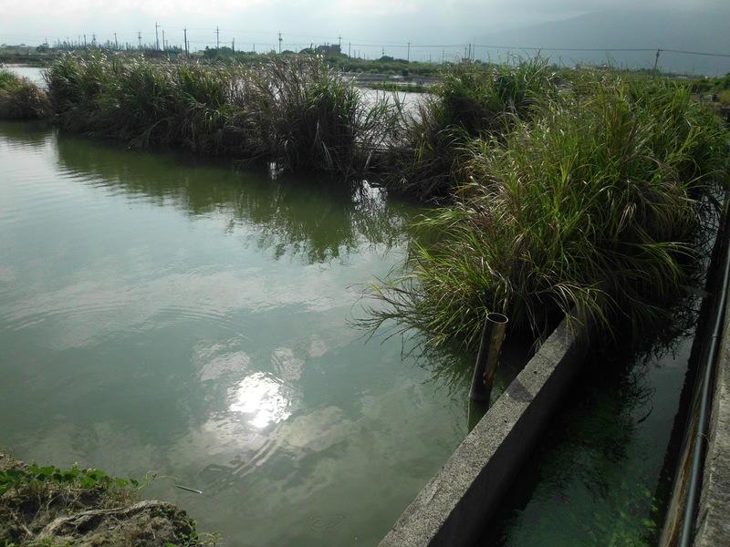 礁溪一般農業區養殖池大降價