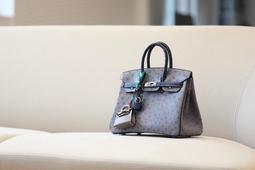 Acapulco Hermès HERMES BIRKIN TUCH 30 RAISIN PURPLE + PRUENOIR MATTE Prune  Leather Exotic leather ref.203322 - Joli Closet