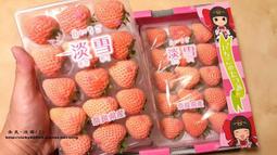 @幼幼班@ 商品名稱:草莓苗/草莓種子/日本草莓-商品名稱: 日本-奈良-淡雪 草莓  (100元一份60粒)