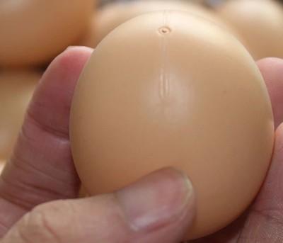 現貨 假雞蛋 模擬雞蛋 玩具 雞蛋 引產蛋 模型 家家酒 塗鴉繪畫蛋 教具 蛋 雞蛋 洗澡玩具 仿真雞
