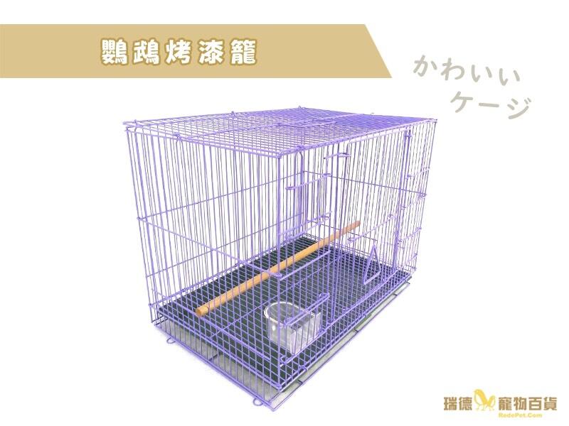 ☆瑞德寵物百貨☆一呎四摺疊鳥籠 (紫色/粉紅色)| 好收納 | 適合小型鳥、松鼠、蜜袋鼯
