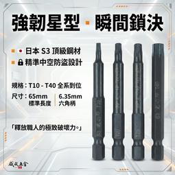 【威威五金】龍之印｜T10-T40 長 65mm｜起子頭 星...
