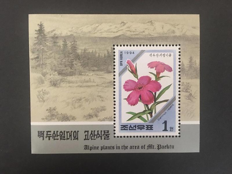 北韓 1994.04.25 #長白山花卉 -小型張 32元