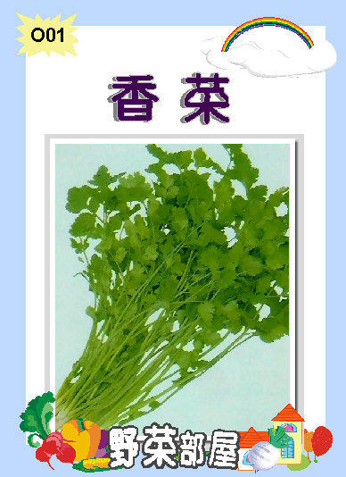 【野菜部屋~】O01 香菜種子10公克 , 俗稱"莞荽 ", 每包15元~