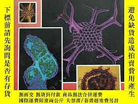 古文物Basic罕見Microbiology SEVENTH EDITION露天23470 WESLEY A. VOLK 