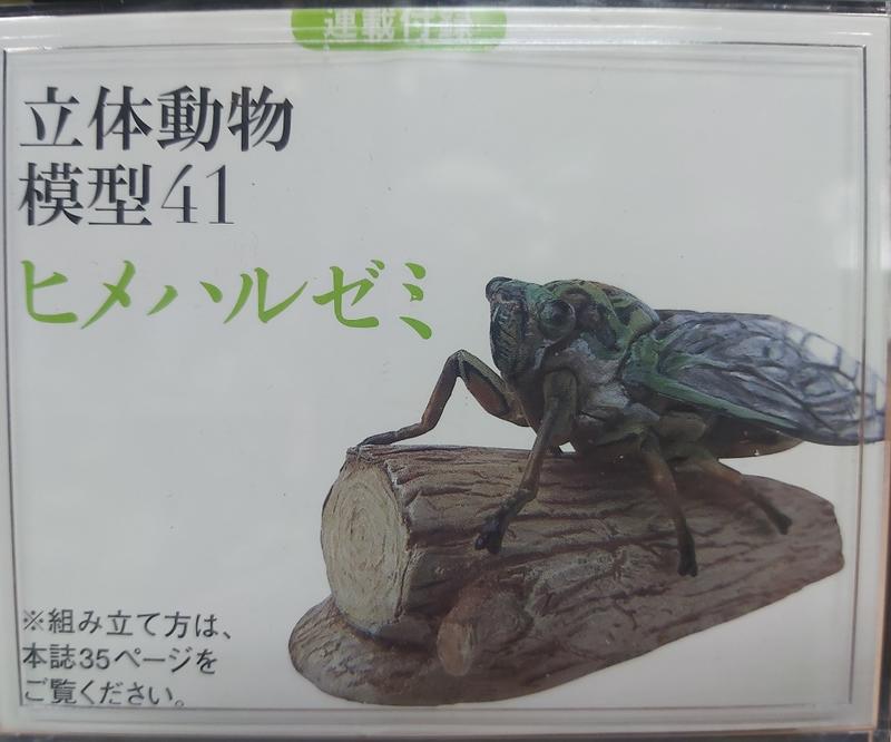 日本天然紀念物 - 圖鑑41 - 蟬鳴