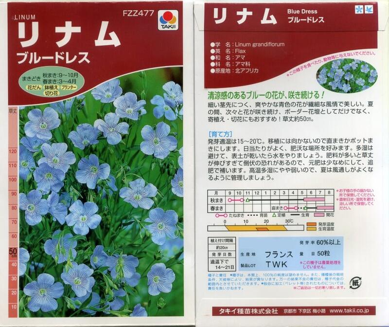 【花之鄉小舖】進口高級日本花卉種子--亞麻  藍色洋裝