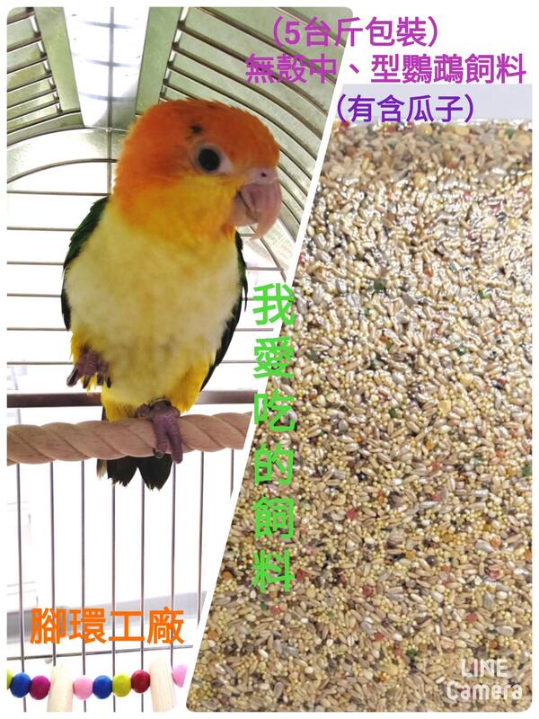 5台斤(3公斤) 無殼中、小型鸚鵡飼料-L1-(有含瓜子)~嚴選❤ 新鮮天然穀物-適合中小型鳥食用