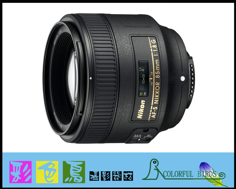 彩色鳥 (鏡頭出租 相機出租) Nikon AF-S 85mm F1.8G F1.8 G 大光圈人像鏡 D700 D300s D7000 D5100 D3100