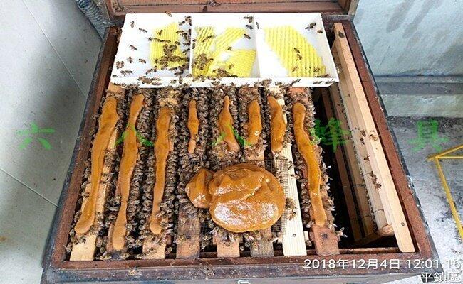 【688蜂具】花粉團 蜜蜂飼料 蜂糧 花粉餅 1包6台斤(約3.6公斤)
