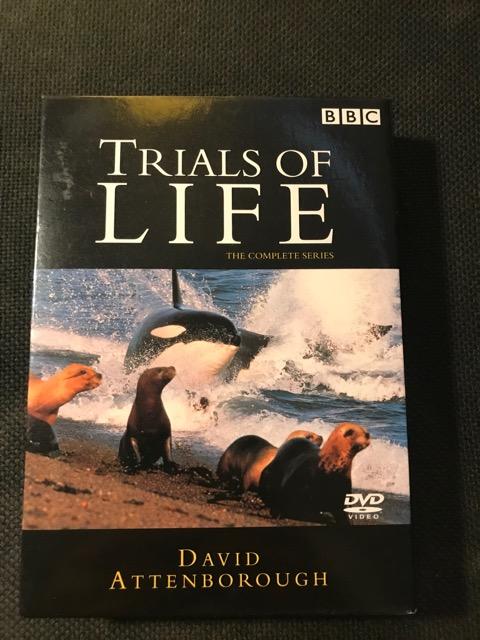 (絕版品)BBC 生命之源  TRIALS OF LIFE 完整套裝3DVD(得利公司貨)