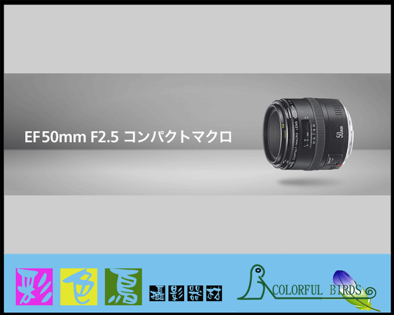 彩色鳥 鏡頭出租*相機出租 Canon 50mm F2.5 MACRO 小型微距鏡 適用APS機身&全片幅機身
