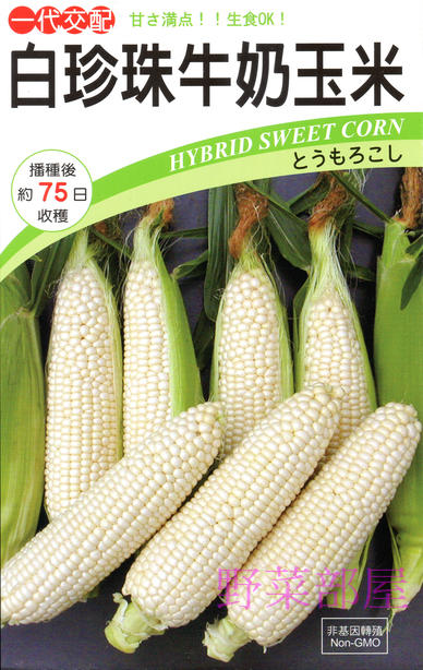 【野菜部屋~中包裝】N15 白珍珠牛奶玉米種子300 顆 , 日本北海道牛奶水果玉米 , 每包260元~
