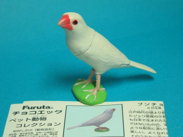 [玩具DNA] 海洋堂 動物 Choco Q 日本的寵物 第1彈 (005)白文鳥※附彈紙.不附蛋殼.