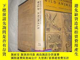古文物WHAT&#39;S罕見IN THE NAMES OF WILD ANIMALS露天171502 