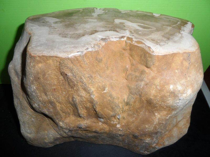 木化石/擺飾/風水/造景-重量19公斤