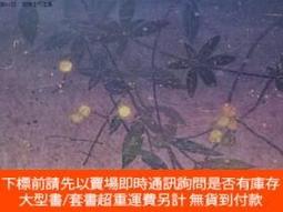 手塚雄二- 人氣推薦- 2023年10月| 露天市集