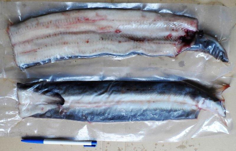<生鮮鰻魚片> 鰻魚達人專賣~ 去骨真空包裝處理~ 藥燉、四物、三杯、蒸、煎、炸...隨您料裡