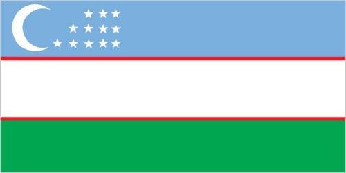 Uzbekistan Type Approval Service for 11b/g/n 烏茲別克認證 Uzbekistan Certificate