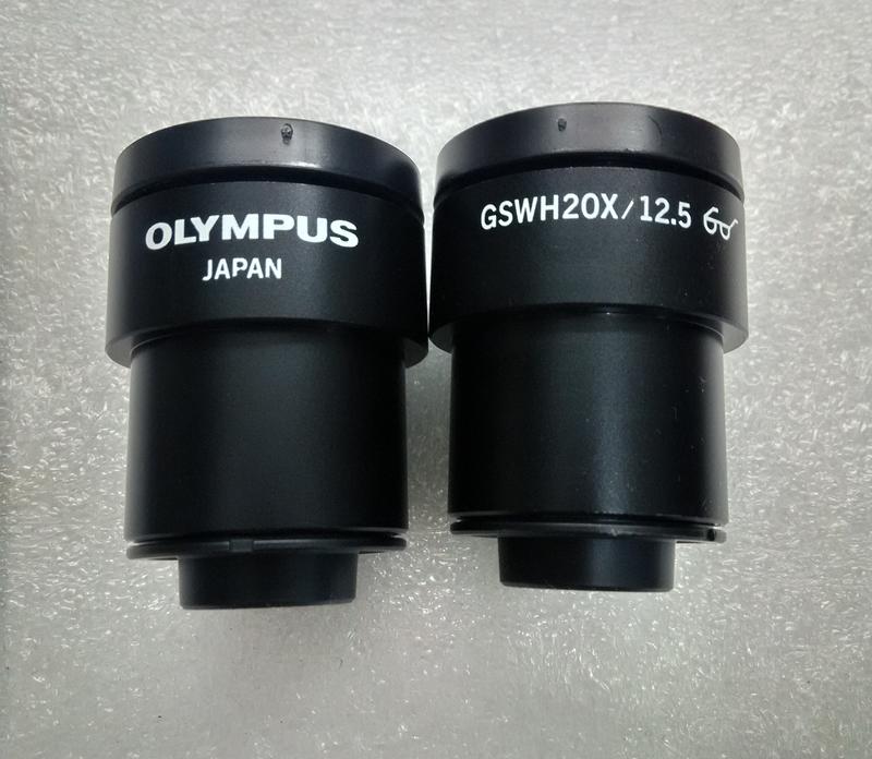 GSWH 20X/12.5  Olympus
