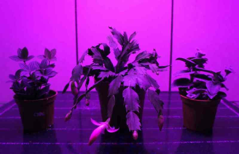 【光力能LED植物燈坊】LED大功率27W長條型8紅4藍全光譜植物生長補光燈