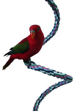 亞熱帶鳥園* 美國帕麗 棉繩圈圈棲木 隨意塑形鳥兒穿梭多重樂趣喔