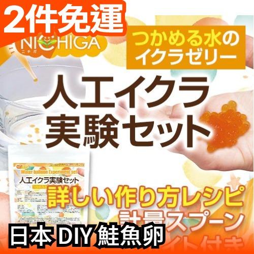 【NICHIGA 自由研究 DIY 鮭魚卵】日本 國小實驗課 盒玩 食玩 食戟之靈 知育菓子【愛購者】