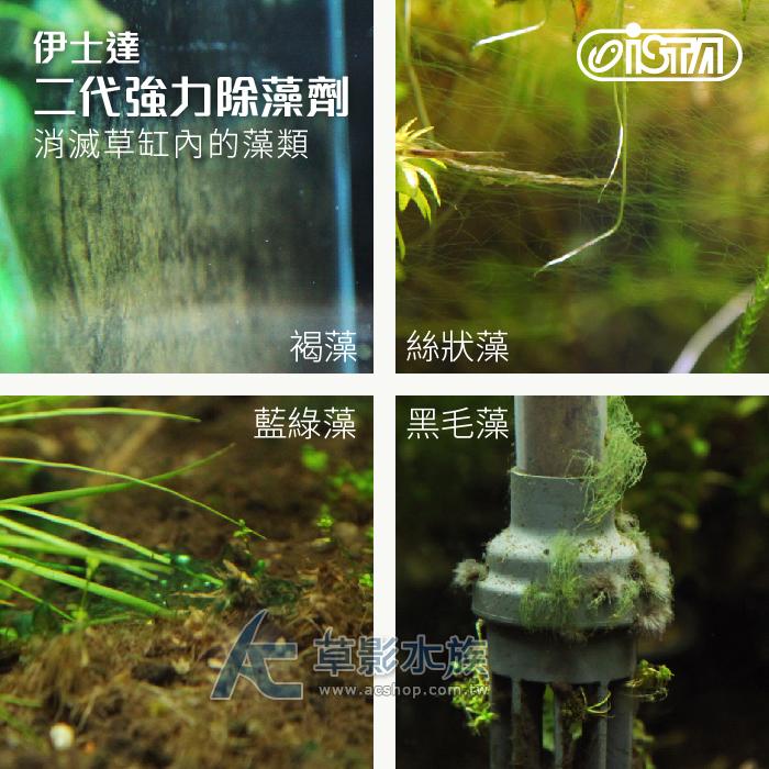 【AC草影】ISTA 伊士達 二代新配方 強力除藻劑（120ml）【一瓶】
