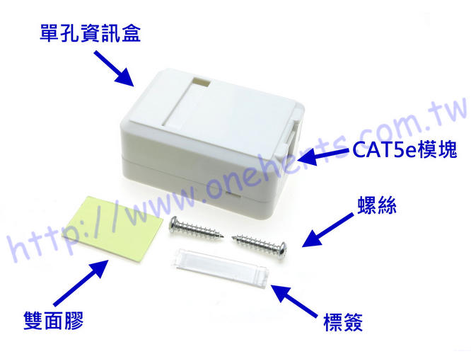 單口網路 CAT5e 資訊桌面盒 含資訊模塊 網路桌面盒 KEYSTONE網路卡座 網路 接口模塊 網路插座 