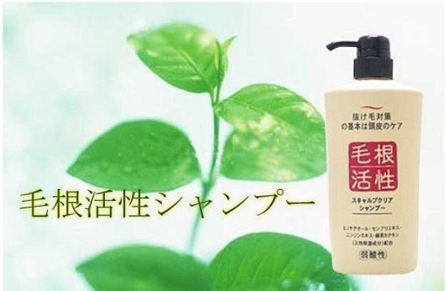 【甜心寶寶】日本製 毛根活性健康頭皮洗髮精