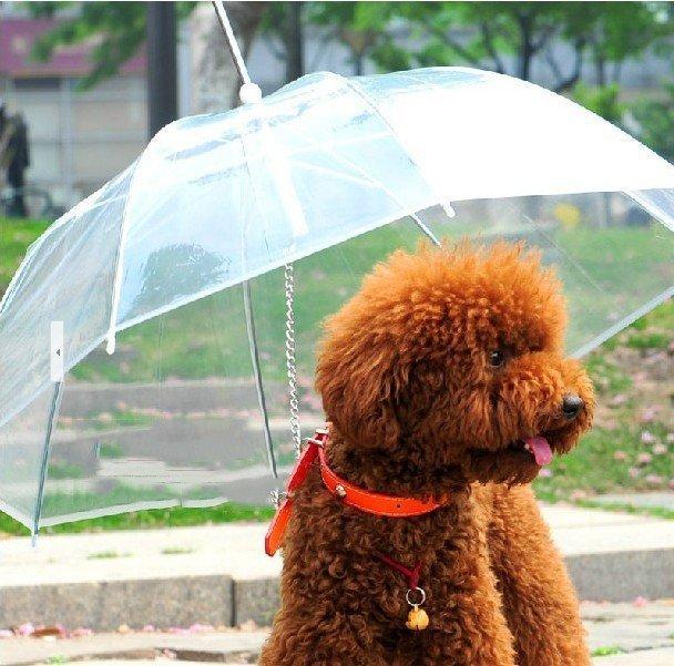 TwinS寵物雨傘 小型犬用溜狗鍊【現貨+預購】上市促銷 我最便宜！