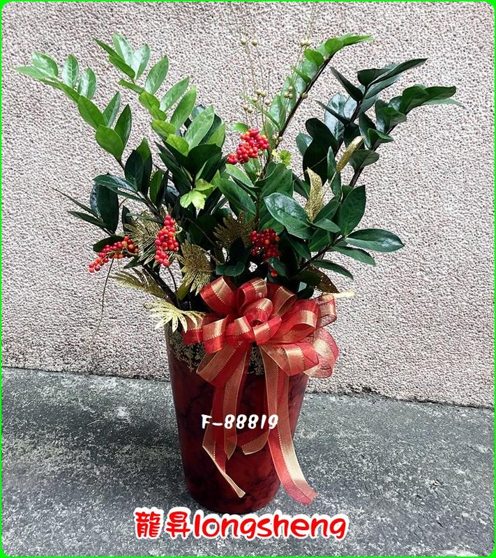 台北網路花店【F-88819金錢樹盆栽乙對2個】~特價商品，不怕您比價，在任何拍賣或購物網站找到比我更便宜 ，買貴退差價