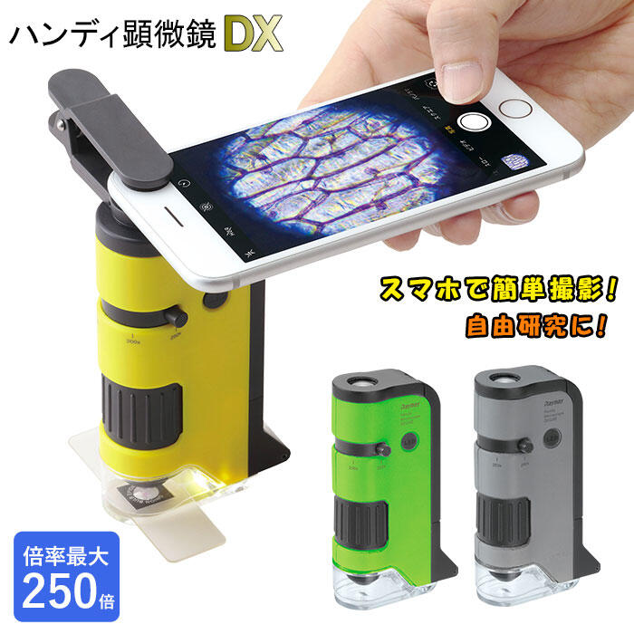 Raymay Microscope 【現貨【藤井Raymay顯微鏡】 附中文說明書攜帶式可調焦DX 100~250倍RXT300兒童顯微鏡 RXT300N | 露天市集 | 全台 ...
