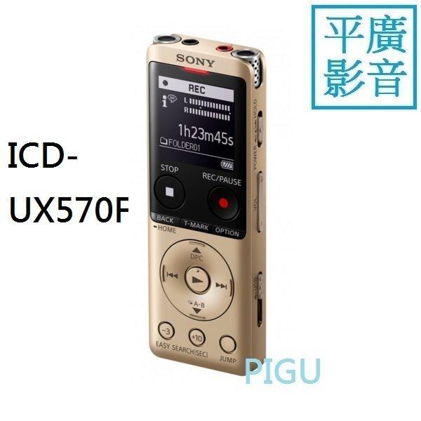 平廣 SONY ICD-UX570F 金色 錄音筆 台公司貨保1年 錄音器 4GB 可FM 插卡 另售耳機喇叭記憶卡