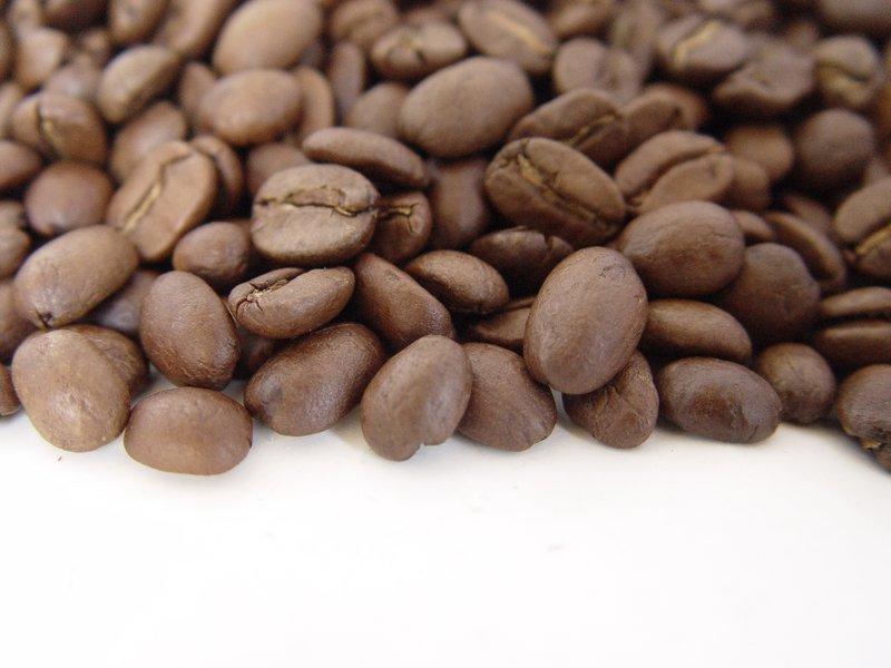 自家烘焙 肯亞AA 咖啡豆(100g) 體驗包